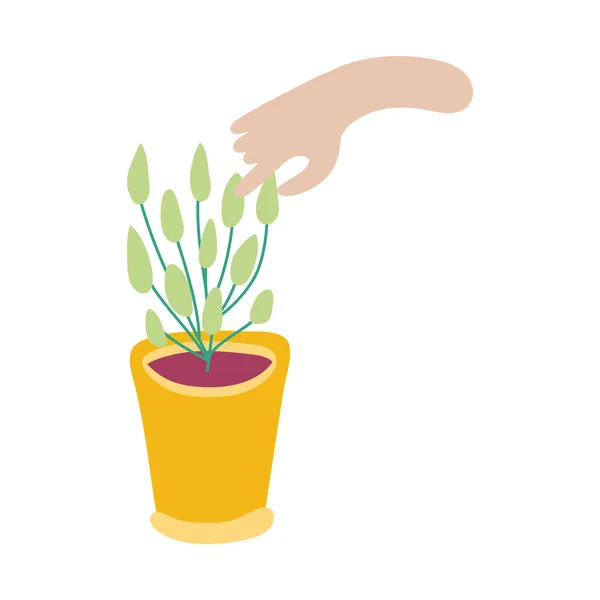 Hand mit Zimmerpflanze flach — Stockvektor