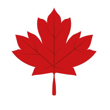 Sonbahar akçaağaç yaprağı vektör tasarımı