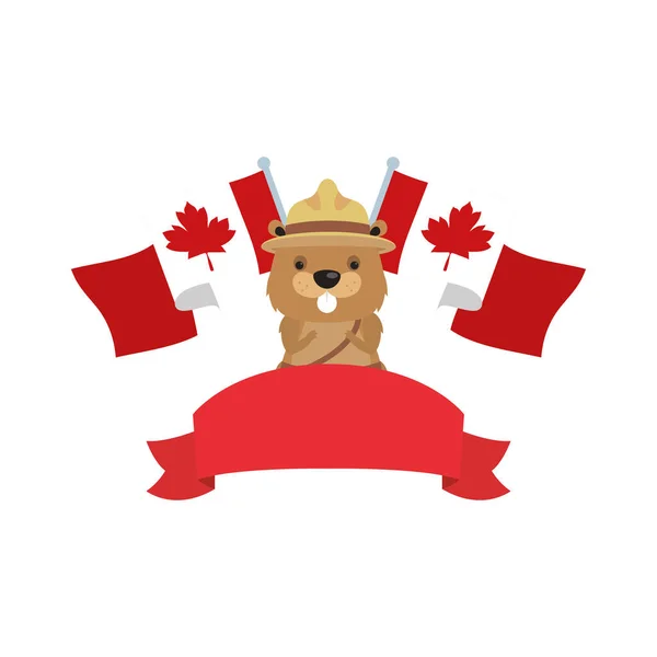 Kanadai hód kalappal és zászlókkal boldog kanadai nap vektor design — Stock Vector