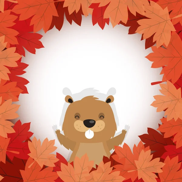加拿大海狸秋天叶子中快乐的加拿大日矢量设计 — 图库矢量图片