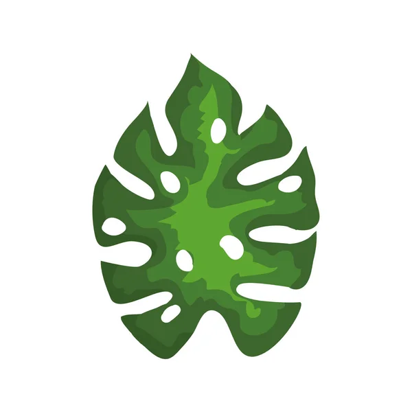 Tropikalny egzotyczny liść, koncepcja natury — Wektor stockowy
