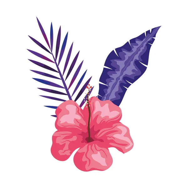 Hibiskus piękny różowy kolor z gałęziami i liśćmi, tropikalna natura, wiosenne lato botaniczne — Wektor stockowy