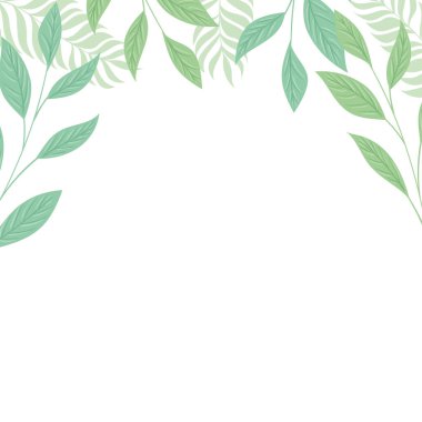 Beyaz arkaplanda tropikal dalların ve yaprakların dekorasyonu