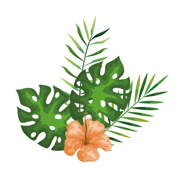 枝や葉を持つハイビスカス熱帯の自然春の植物 — ストックベクタ