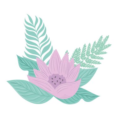 Yapraklı ve dallı leylak rengi pastel, doğa konsepti.