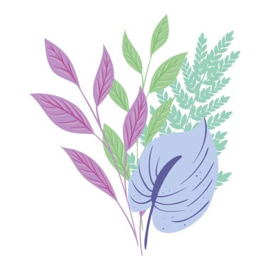 Beyaz arka planda yapraklı tropikal dallar