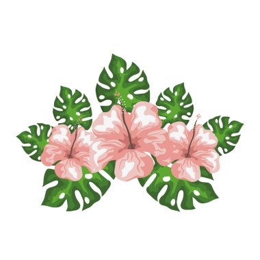 Egzotik yapraklı amber çiçekleri, tropikal doğa, bahar botanik