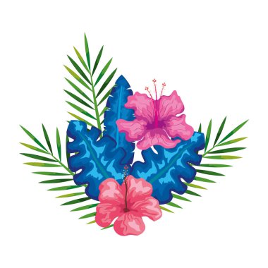 çiçekleri dallı ve yapraklı pembe renk, tropikal doğa, bahar botanik