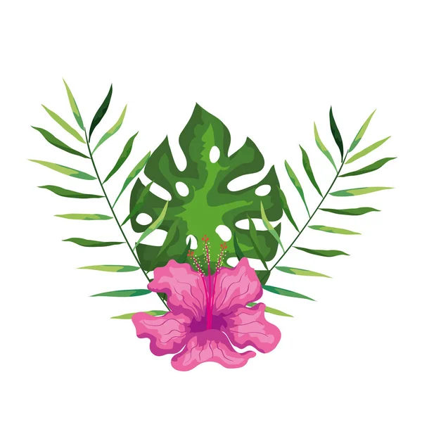Hibisco bela cor rosa com ramos e folhas, natureza tropical, primavera verão botânico —  Vetores de Stock