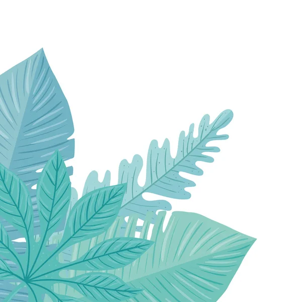 Beyaz arka planda yapraklı tropikal dallar — Stok Vektör