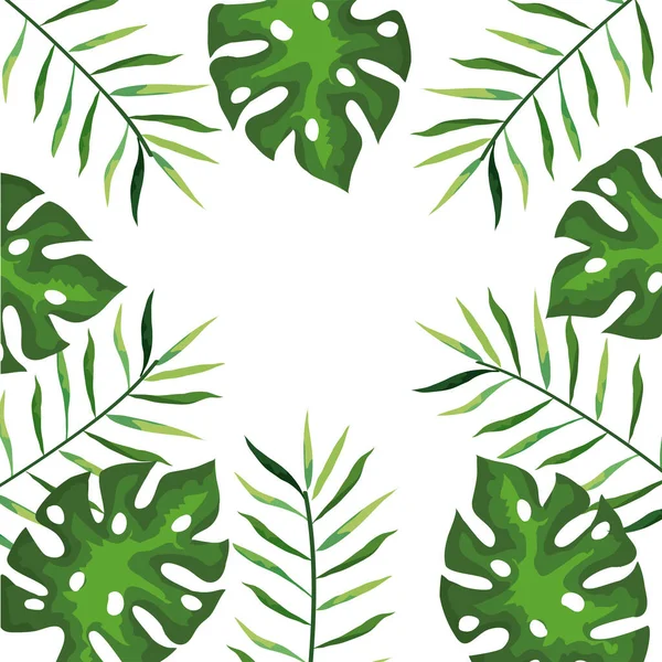Quadro de ramos com folhas tropical, conceito de natureza — Vetor de Stock