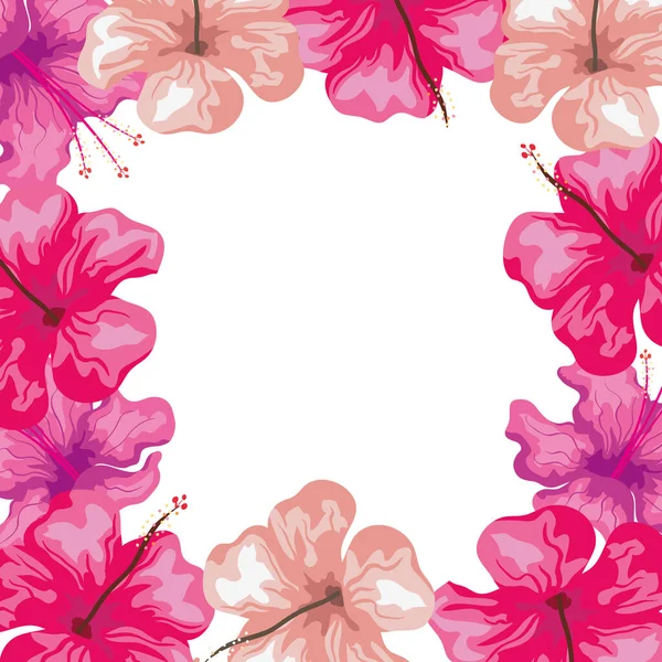Marco de flores de hibisco color rosa, naturaleza tropical, primavera verano botánico — Archivo Imágenes Vectoriales