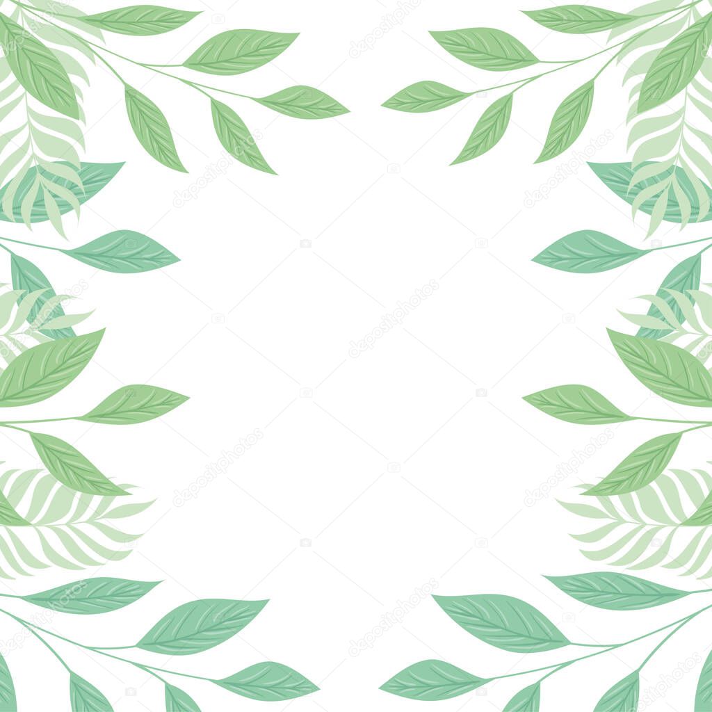 frame of tropical branches and leaves pastel color on white background
