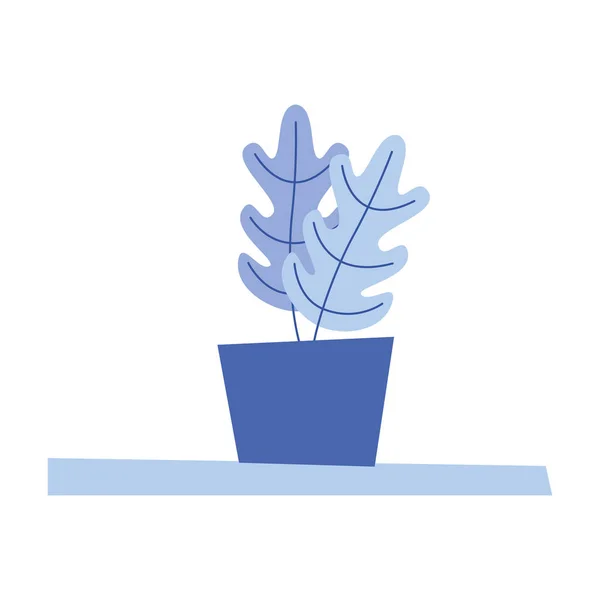 Planta aislada dentro del diseño del vector de maceta — Vector de stock