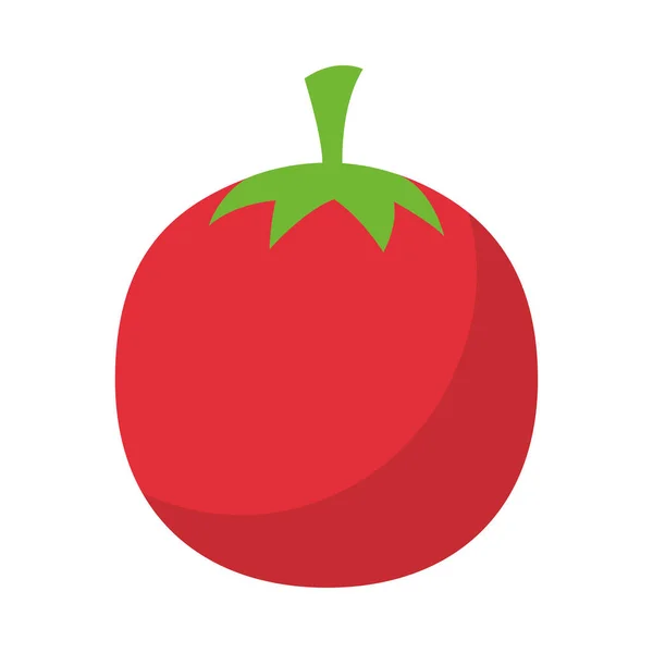 Isolerad tomat grönsaksvektor design — Stock vektor