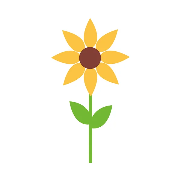 Isoliertes Sonnenblumen-Icon-Vektor-Design — Stockvektor