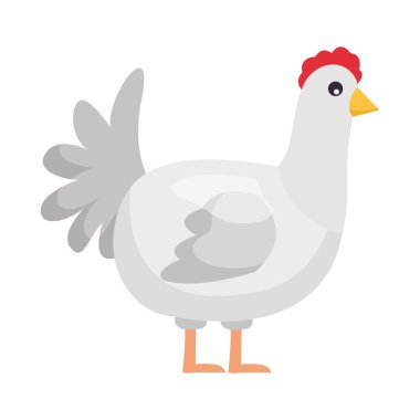 İzole edilmiş çiftlik şirin tavuk vektör tasarımı