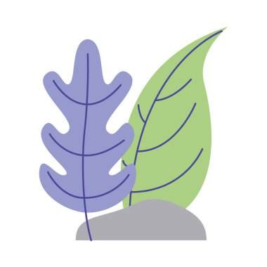 Kaya vektör tasarımlı izole yapraklar