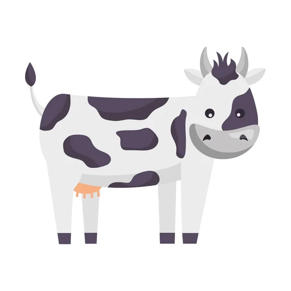 고립된 농장귀여운 소의 벡터 설계 — 스톡 벡터