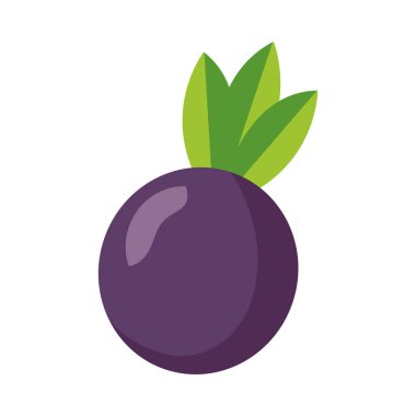 İzole pancar sebze vektör tasarımı