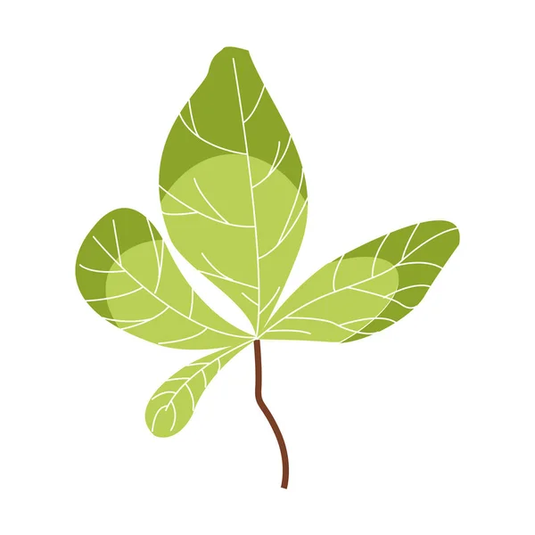 İzole edilmiş doğal yaprak vektör tasarımı — Stok Vektör