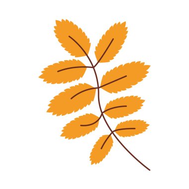 İzole edilmiş doğal yaprak vektör tasarımı