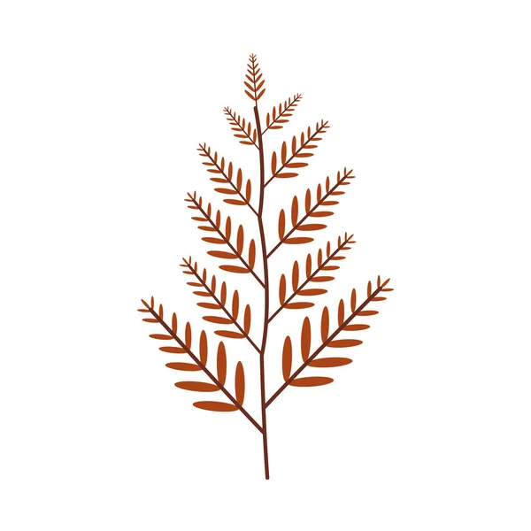 Geïsoleerd ontwerp van de natuurlijke bladvector — Stockvector