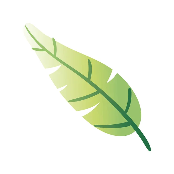 Frunze de plante mână desena stil pictogramă — Vector de stoc