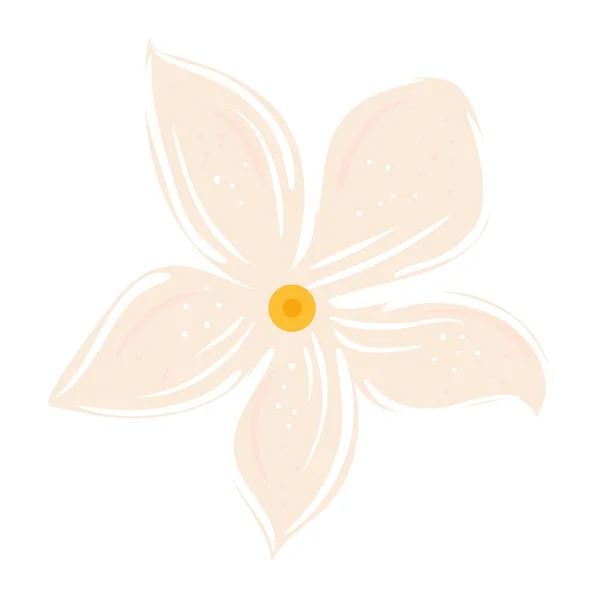 Flower white color isolated icon — Stock Vector