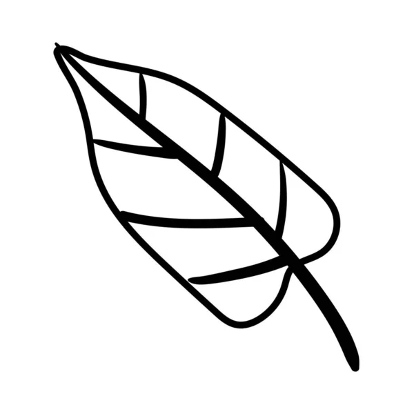 Blatt Pflanze Linie Stil-Symbol — Stockvektor