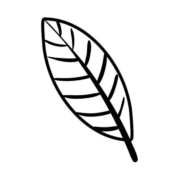 Blatt Pflanze Linie Stil-Symbol — Stockvektor