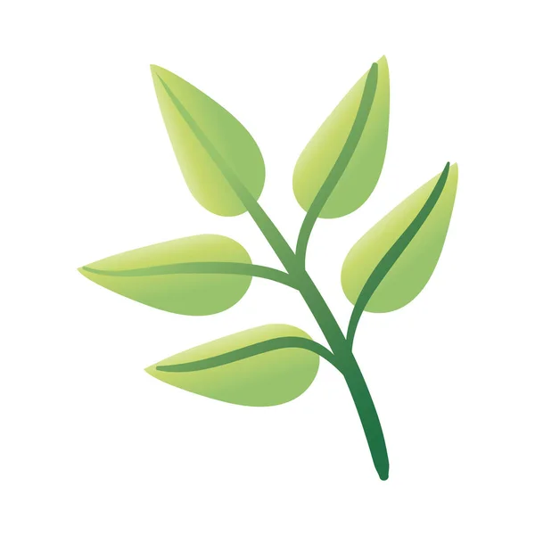 Branche avec des feuilles dessin à la main icône de style — Image vectorielle