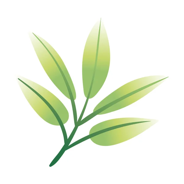 Branche avec des feuilles dessin à la main icône de style — Image vectorielle
