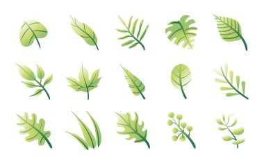 Yaprak demeti bitki simgeleri dizer