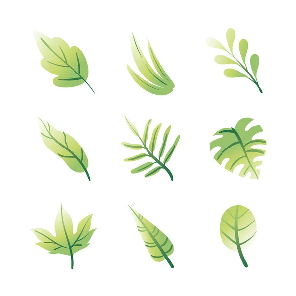 Fascio di foglie piante set icone — Vettoriale Stock