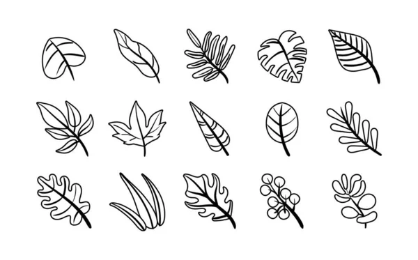 Bundle of leafs plants set icons — Stock Vector