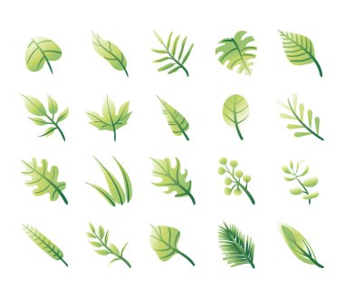 Yaprak demeti bitki simgeleri dizer