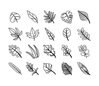 Yaprak demeti bitki simgeleri dizer