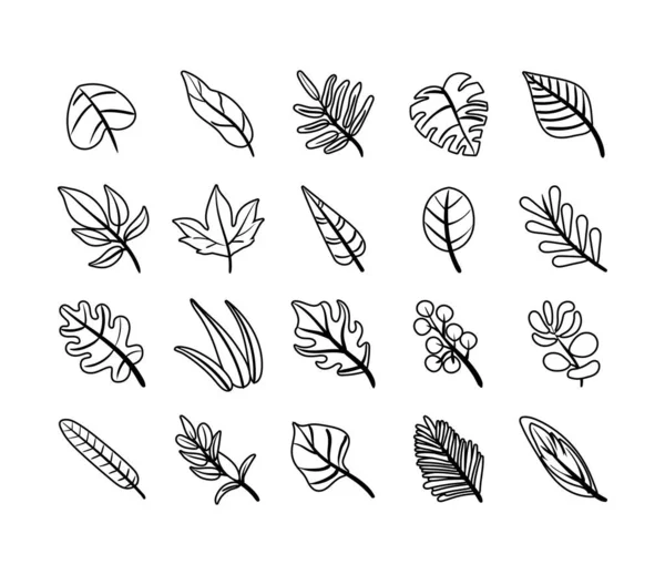 Bundle of leafs plants set icons — Stock Vector
