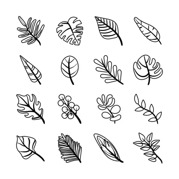 Paquet de feuilles plantes ensemble icônes — Image vectorielle