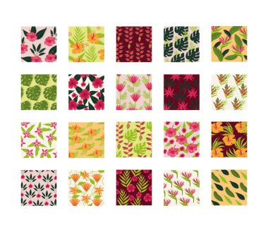 Yapraklar ve bitkiler tropikal yapılar