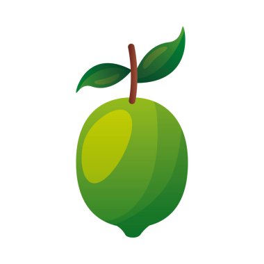 İzole edilmiş limon meyve vektör tasarımı