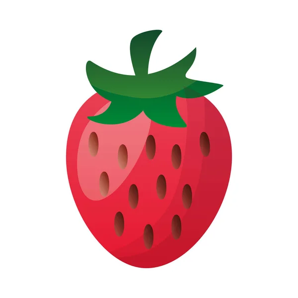 Diseño aislado de vectores de fruta de fresa — Vector de stock