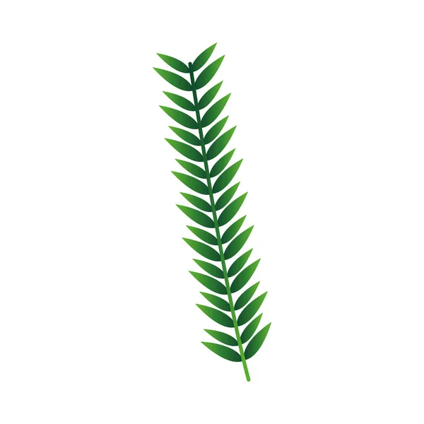 Geïsoleerd groen blad vector ontwerp — Stockvector