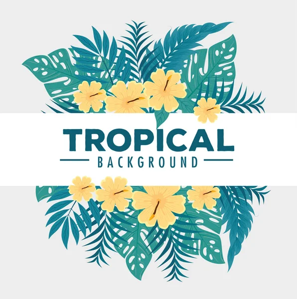 tropical background, flowers yellow colors with branches and tropical leaves, decoration with flowers and tropical leaves