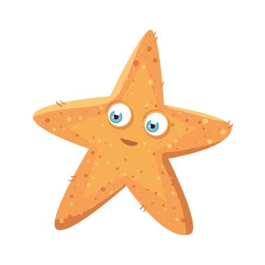 Deniz altı yaşamı, beyaz arka planda deniz yıldızı.