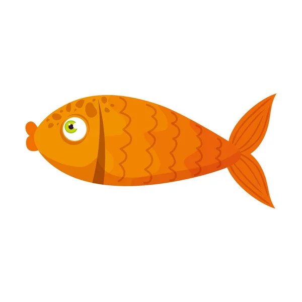 Sea underwater life, golden fish on white background — Stock Vector