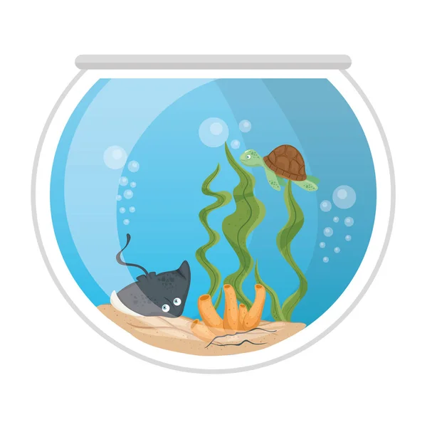 Acuario raya y tortuga con agua, algas marinas, coral, acuario mascota marina — Vector de stock
