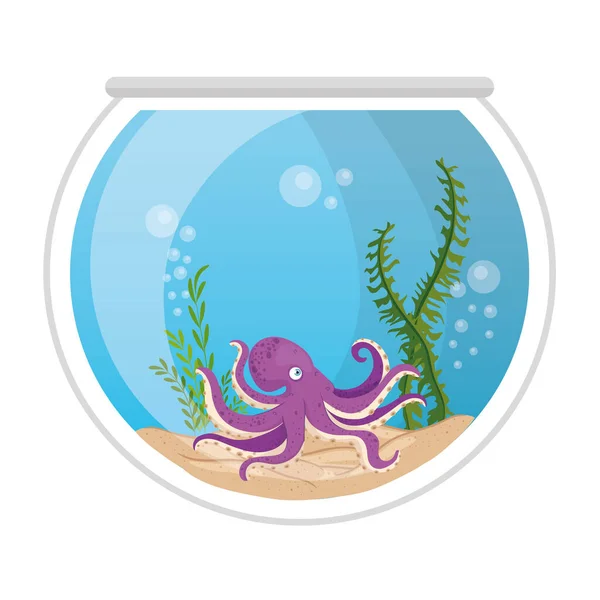 Pulpo de acuario con agua, algas, acuario mascota marina — Vector de stock