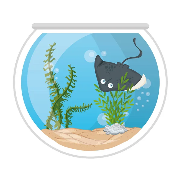 Akvarium stingray med vatten, tång, akvarium marina husdjur — Stock vektor